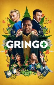 Gringo