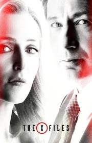 The X-Files
