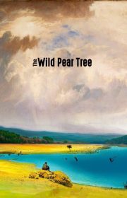 The Wild Pear Tree