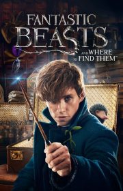Fantastic Beasts and Where to Find Them