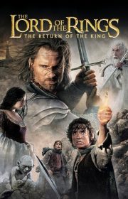 The Lord of the Rings: The Return of the King