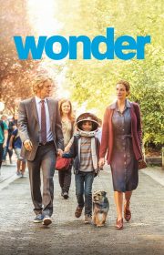 Wonder