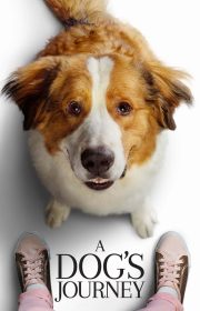 A Dog’s Journey