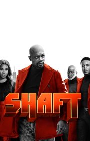 Shaft