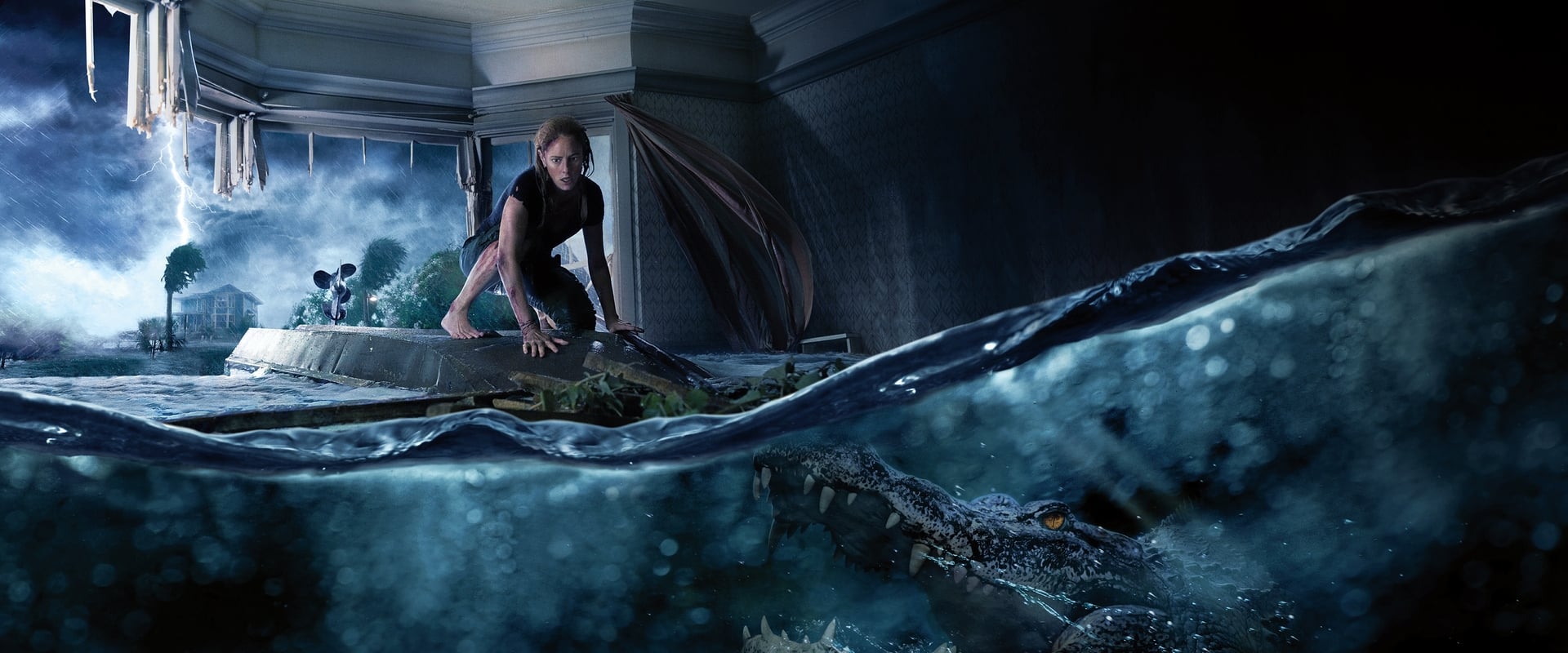 Crawl 2019
