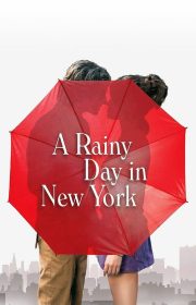 A Rainy Day in New York