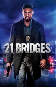 21 Bridges