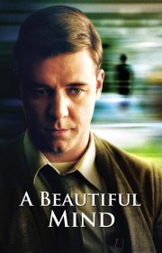A Beautiful Mind