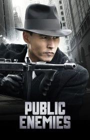 Public Enemies