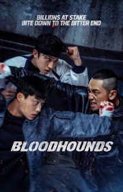 Bloodhounds