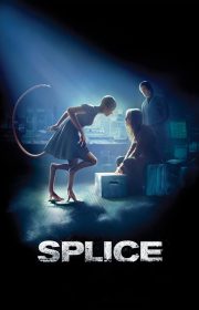 Splice