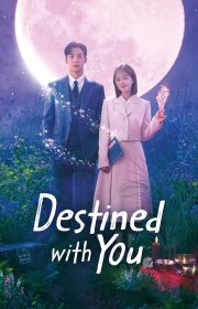 Destined with You