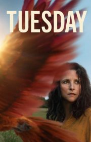 Tuesday