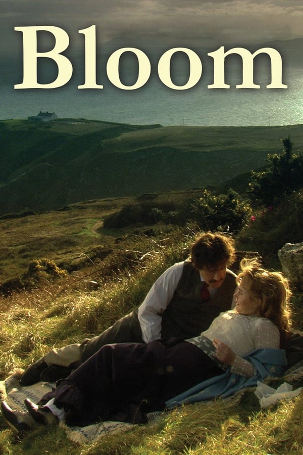 Bloom 2003