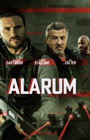 Alarum