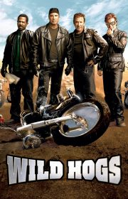 Wild Hogs