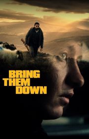 Bring Them Down