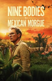 Nine Bodies in a Mexican Morgue