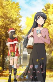 Rascal Does Not Dream of Santa Claus