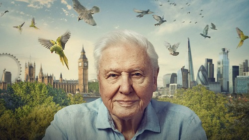 Wild London 2026