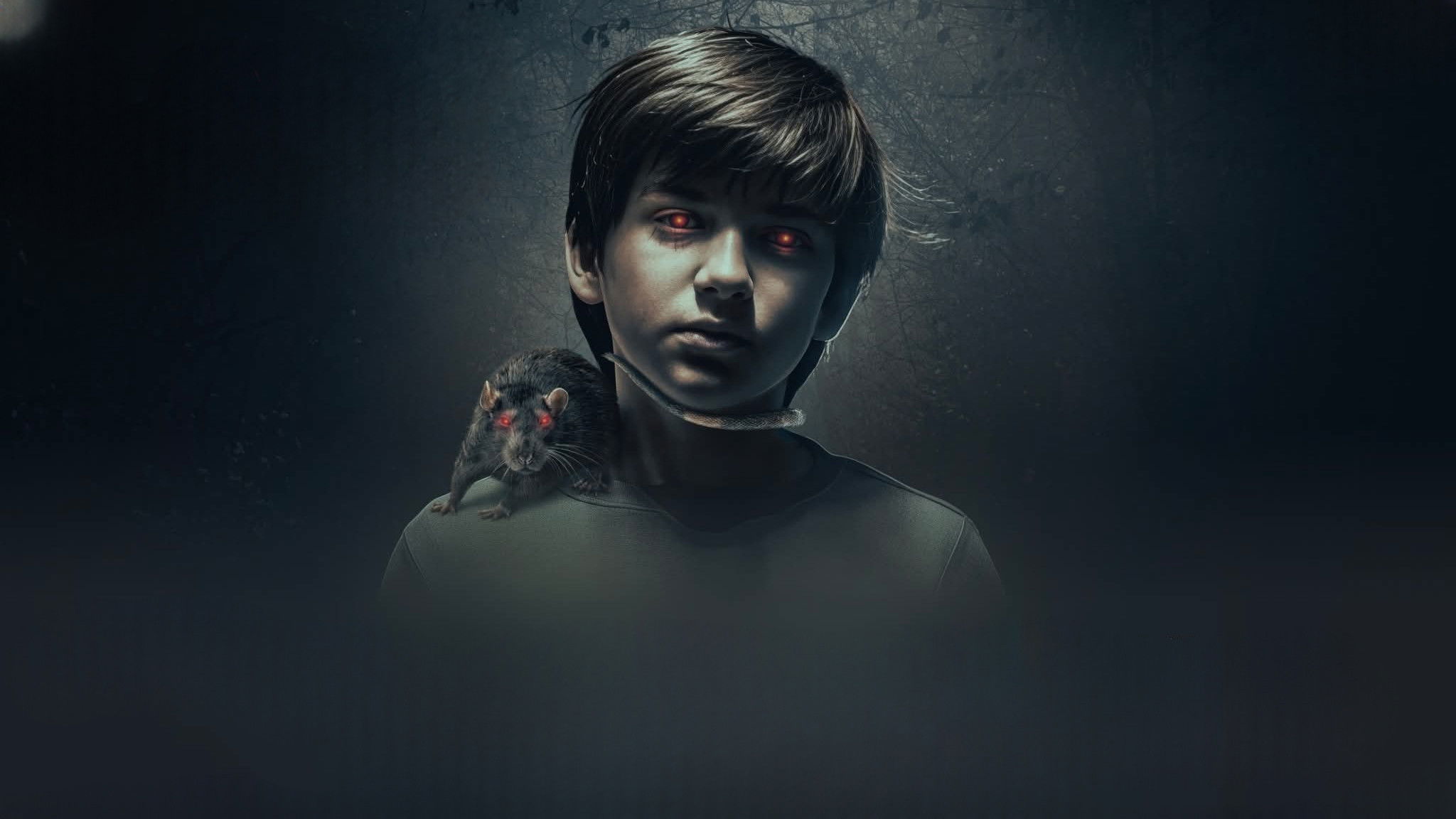 The Confession 2025