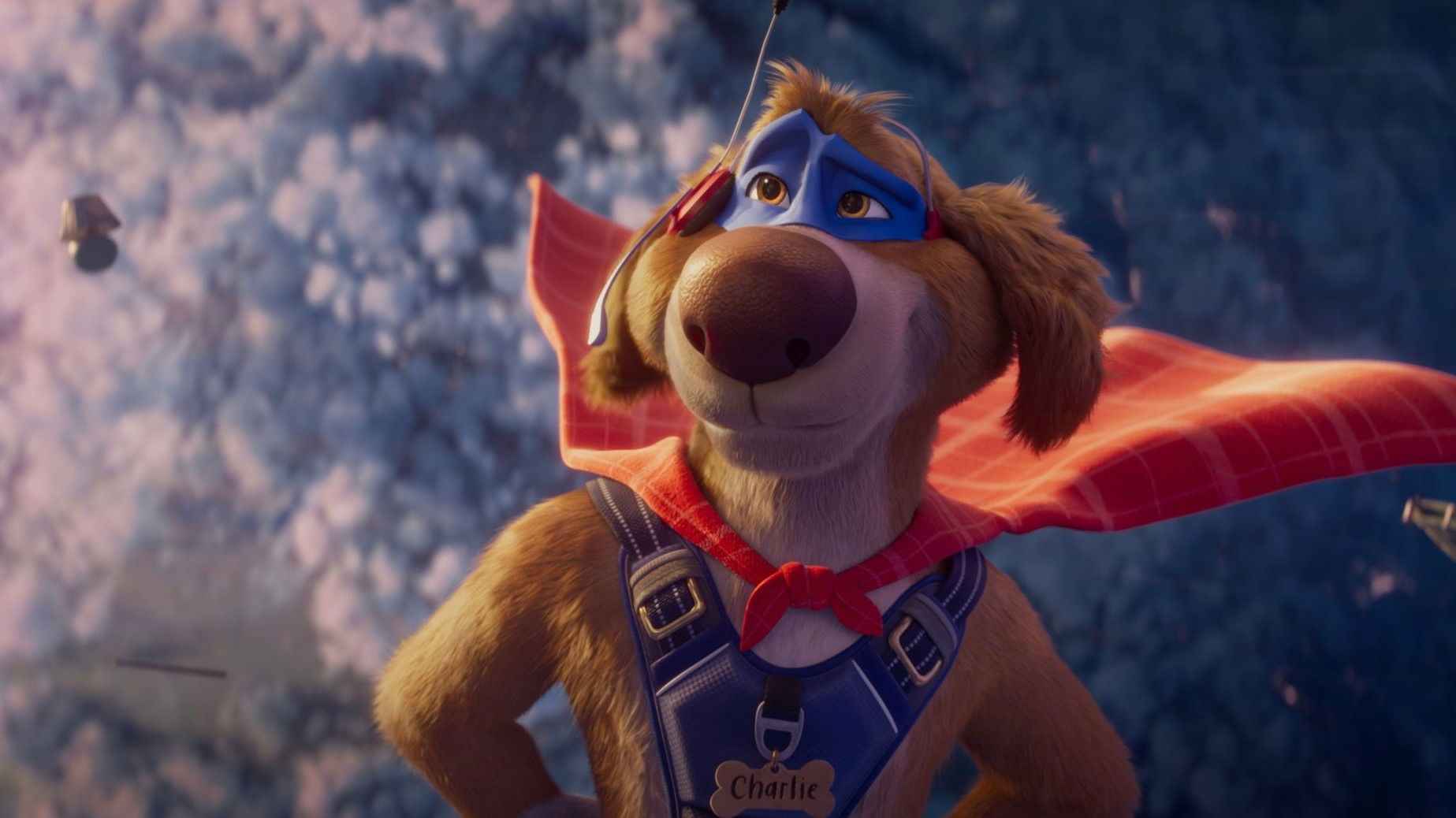 Charlie the Wonderdog 2025