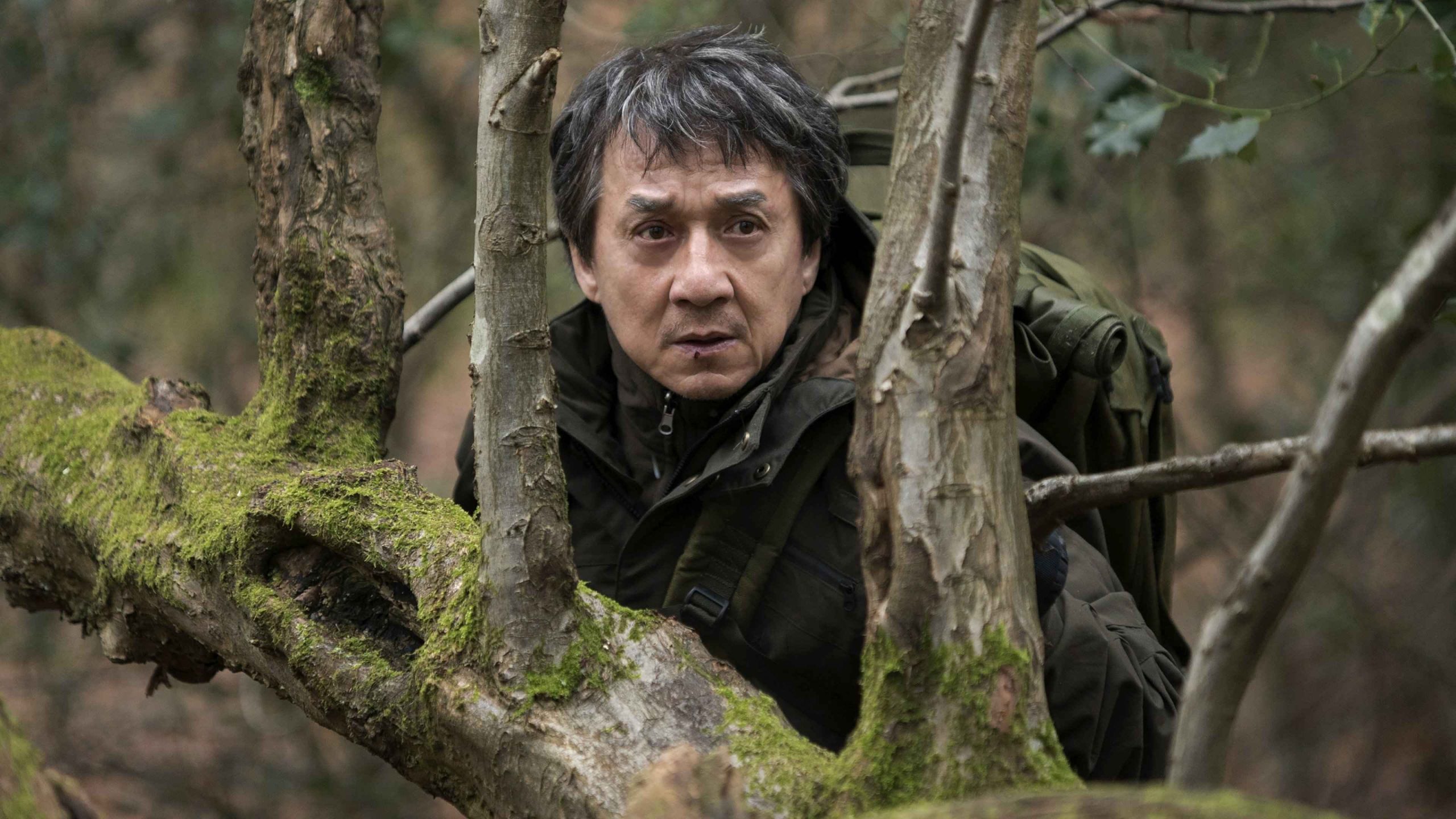 The Foreigner 2017