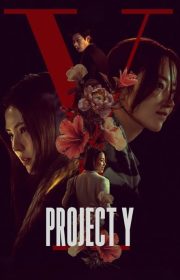 Project Y