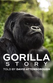 A Gorilla Story: Told by David Attenborough