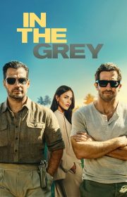 In the Grey 2026