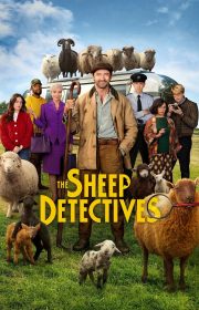 The Sheep Detectives 2026