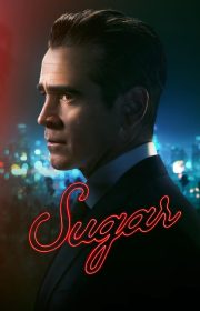 Sugar 2024