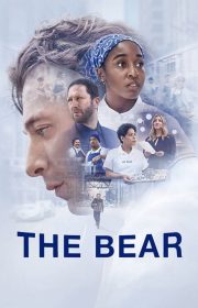 The Bear