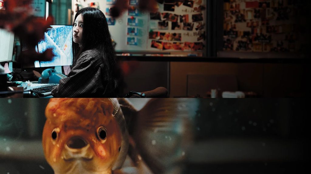 The Killer Goldfish 2024