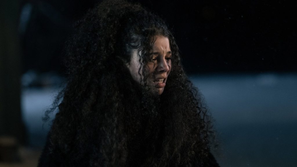 Hair of the Bear 2025