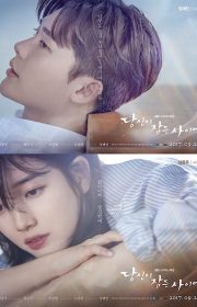 While You Were Sleeping 2017