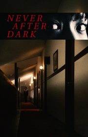 دانلود فیلم Never After Dark 2026 بدون سانسور با زیرنویس فارسی چسبیده