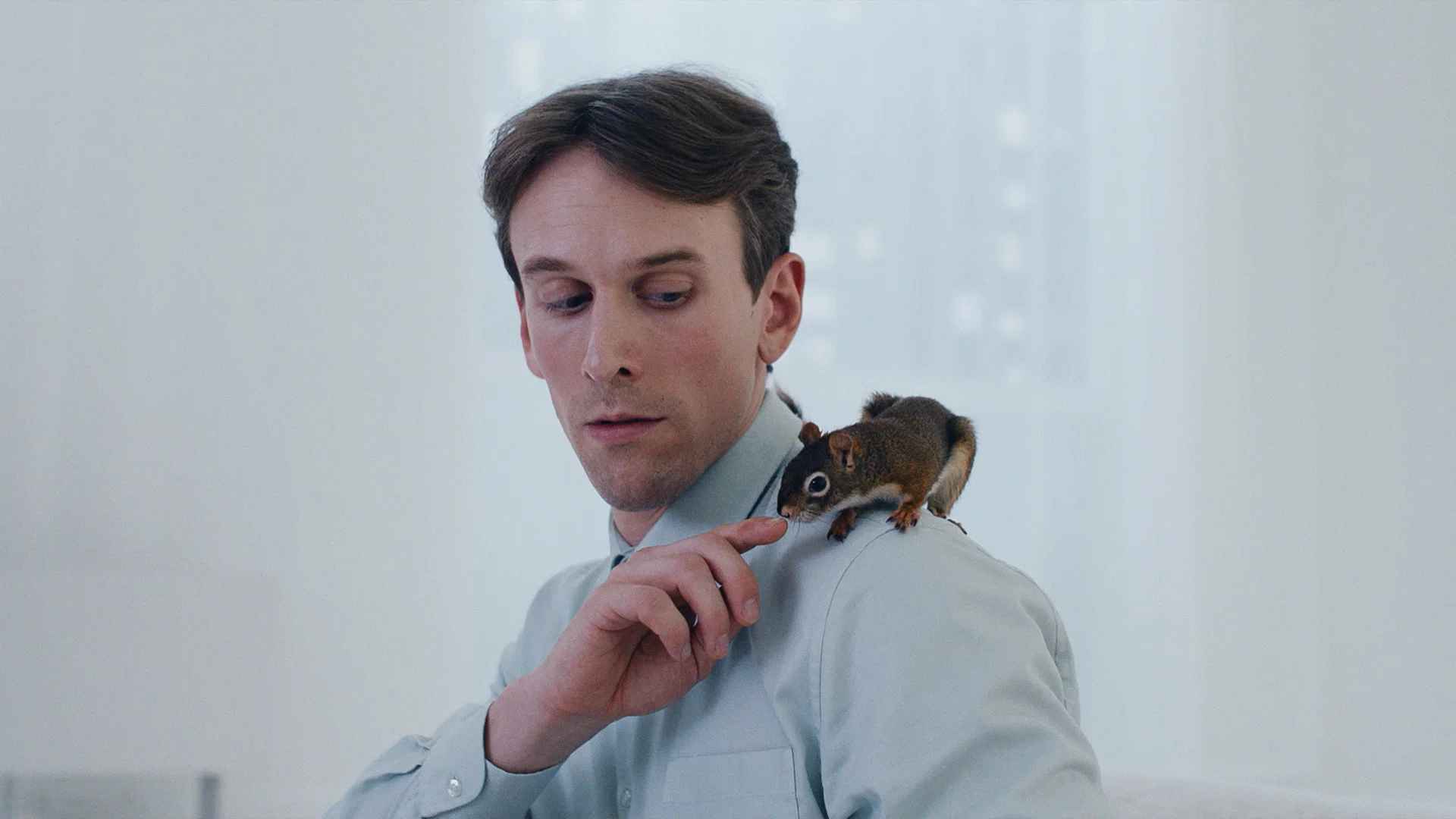 The Squirrel 2026