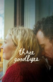 دانلود فیلم سه خداحافظی Three Goodbyes 2025 بدون سانسور با زیرنویس فارسی چسبیده